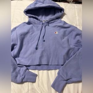 Cropped Champion Hoodie (S)